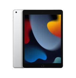 MK2P3FD/A Apple iPad 256 GB 25,9 cm (10.2") Wi-Fi 5 (802.11ac) iPadOS 15 Argento
