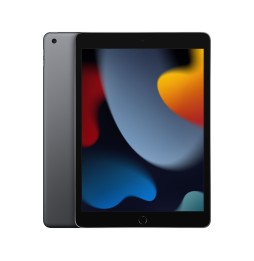 MK2N3FD/A Apple iPad 256 GB 25,9 cm (10.2") Wi-Fi 5 (802.11ac) iPadOS 15 Grigio