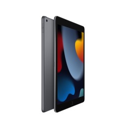 MK2N3FD/A Apple iPad 256 GB 25,9 cm (10.2") Wi-Fi 5 (802.11ac) iPadOS 15 Grigio