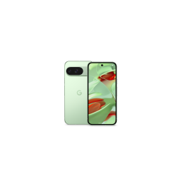 GA05840-GB Google Pixel 9