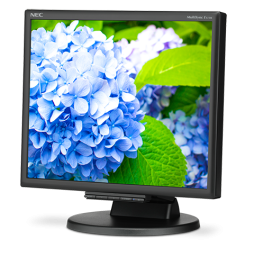 60005020 NEC E172M Monitor PC 43,2 cm (17") 1280 x 1024 Pixel HD LED Nero