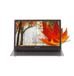 CBL15C/256W2KE12 Microtech COREBOOK LITE CBL15C Intel® Celeron® N N4020 Computer portatile 39,6 cm (