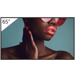 Sony FW-65BZ40L visualizzatore di messaggi Pannello piatto per segnaletica digitale 165,1 cm (65") L