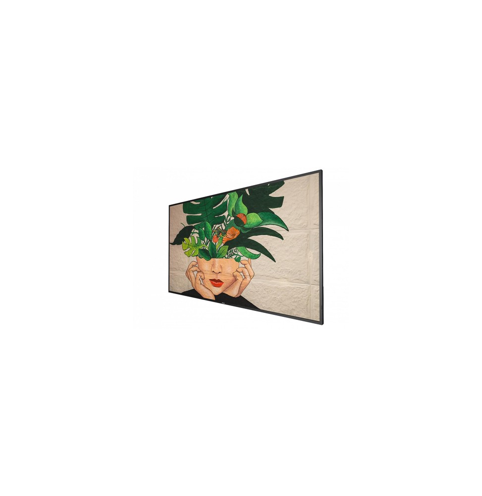 Philips 55BDL4511D/00 visualizzatore di messaggi Pannello A digitale 139,7 cm (55") 500 cd/m² 4K Ult