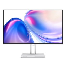 67DDKAC6EU Lenovo L24-4C Monitor PC 60,5 cm (23.8") 1920 x 1080 Pixel Full HD LCD Grigio