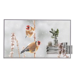 55EW5P-M.AEU LG 55EW5P-M visualizzatore di messaggi 139,7 cm (55") OLED 600 cd/m² Full HD Argento To