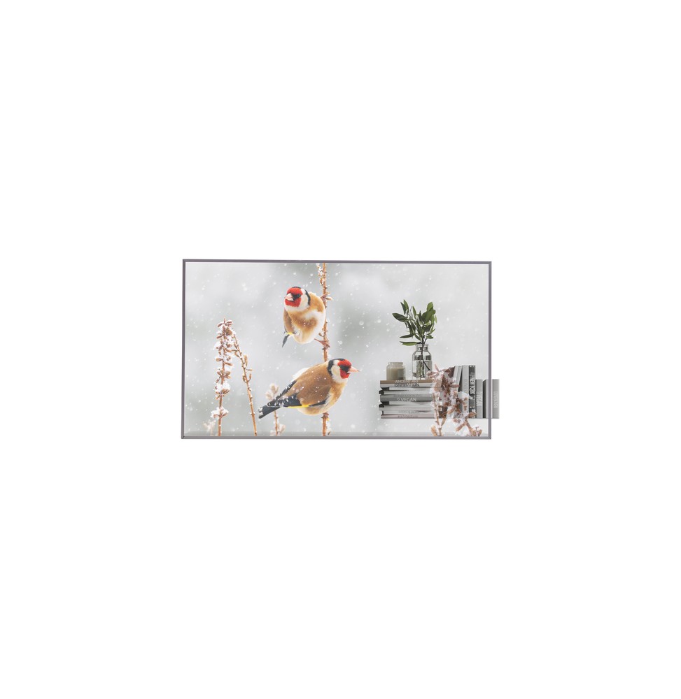 55EW5P-M.AEU LG 55EW5P-M visualizzatore di messaggi 139,7 cm (55") OLED 600 cd/m² Full HD Argento To