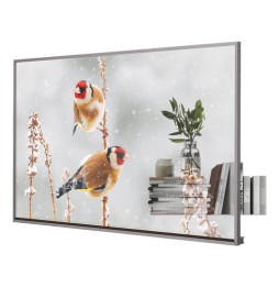 55EW5P-M.AEU LG 55EW5P-M visualizzatore di messaggi 139,7 cm (55") OLED 600 cd/m² Full HD Argento To