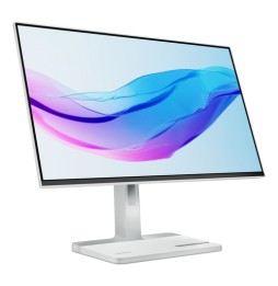 67BDUAC6EU Lenovo L24m-4A Monitor PC 60,5 cm (23.8") 1920 x 1080 Pixel Full HD LED Grigio