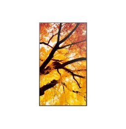 60006054 Sharp MultiSync M502 Pannello piatto per segnaletica digitale 127 cm (50") LCD 550 cd/m² 4K