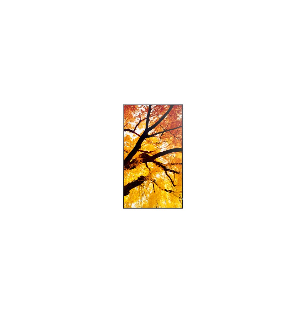 60006054 Sharp MultiSync M502 Pannello piatto per segnaletica digitale 127 cm (50") LCD 550 cd/m² 4K