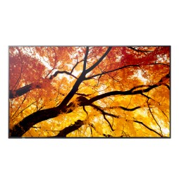 60006058 Sharp MultiSync M862 Pannello piatto per segnaletica digitale 2,18 m (86") LCD 550 cd/m² 4K
