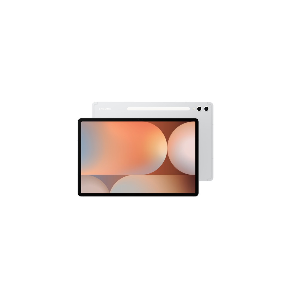 Samsung Galaxy Tab S10+ 5G LTE-TDD & LTE-FDD 256 GB 31,5 cm (12.4') 12 GB Wi-Fi 6 (802.11ax) Argento