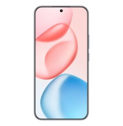 Honor 400 16,6 cm (6.55') MagicOS 9.0 5G 8 GB 256 GB 5300 mAh Nero