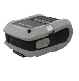 Honeywell RP4 203 x 203 DPI Con cavo e senza cavo Termica diretta Stampante portatile