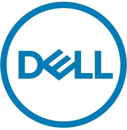 DELL 161-BBPH disco rigido interno 4 TB 7200 Giri/min 3.5' NL-SAS