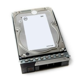 DELL 161-BCJX disco rigido interno 12 TB 7200 Giri/min 3.5' NL-SAS