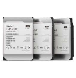 Synology HAS5300-12T disco rigido interno 12 TB 7200 Giri/min 256 MB 3.5' SAS