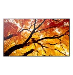 Sharp MultiSync M432 Pannello piatto per segnaletica digitale 108 cm (42.5') LCD 550 cd/m² 4K Ultra HD Nero