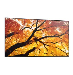 Sharp MultiSync M432 Pannello piatto per segnaletica digitale 108 cm (42.5') LCD 550 cd/m² 4K Ultra HD Nero